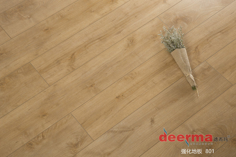 德而玛强化地板 801_副本.jpg